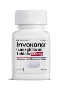 미출시 SGLT-2 당뇨약 '인보카나' 특허회피 성공 