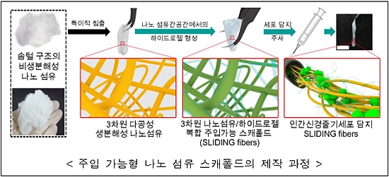 국내 연구진, 줄기세포 이용 최소침습 기술 개발