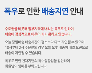 폭우로 의약품 배송 지연…온라인몰 일제히 공지