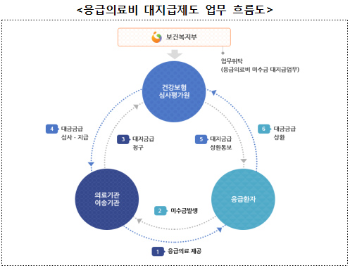 응급의료비 대지급제도 이용량 5년새 60% 증가