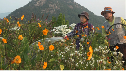 전남약사회, 쑥섬 고채훈 약사 응원차 방문