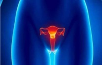 PARP난소·유방암약, 테사로 선두…화이자 등 추격