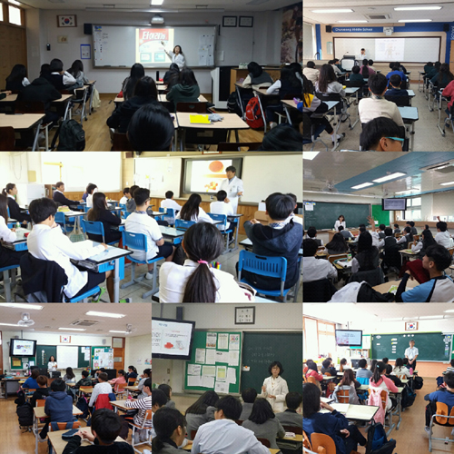 강원도약, 지역 초등학생 대상 약 안전사용 교육 