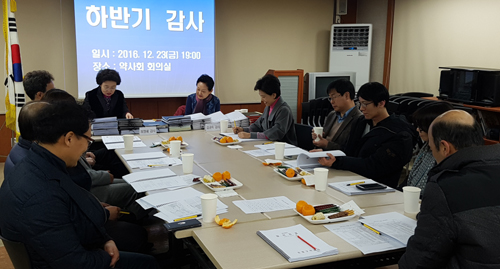 은평구약, 2016년도 하반기 감사 수감