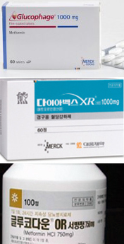 메트포르민 머크·대웅·한올의 아리송한 경쟁  
