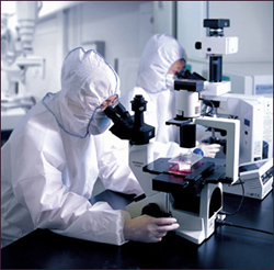 수출과 R&D 뒷전? 일성신약 등 일부 상장사 바닥권