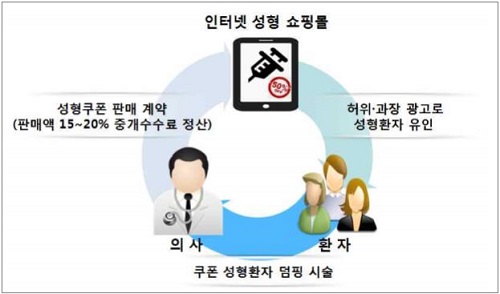 온라인쇼핑몰 '성형수술 쿠폰' 판매 의사 40명 적발