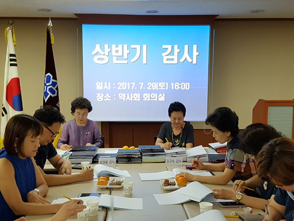 은평구약, 2017년도 상반기 자체감사 수감