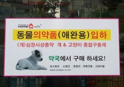 서식 벗어난 동물약처방, 인체용전문약 조제 '주의' 