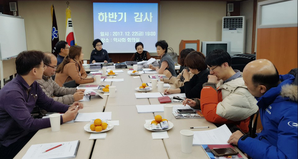 은평구약, 2017년도 하반기 감사 수감