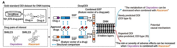 19만개 약물 상호작용 예측하는 'AI약사' 나온다