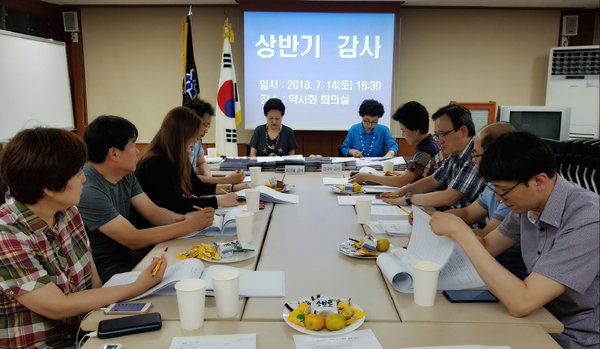 은평구약, 2018년도 상반기 자체감사 수감