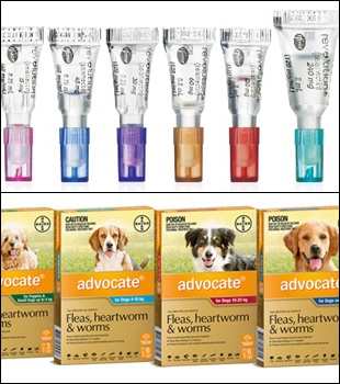 약사들 "동물약 약국 유통거부...보여주기식 소송"