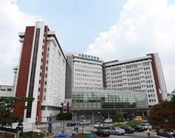 중환자실 의사·간호사 "약료서비스 위한 약사가 없다"