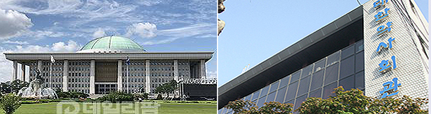 국감 참고인된 약사회 임원…이유는 일반약 자판기