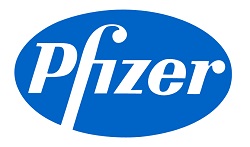 '홀로서기' 한국화이자업존, 작년 매출 3858억원