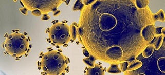 코로나19 치료제 개발시 일부 생체 내 시험 면제