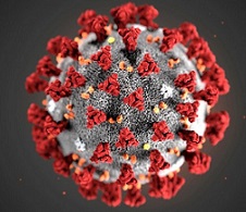 영풍제약 '페로딜정', 코로나19 환자 대상 연구자 임상