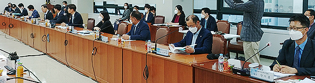 콜린알포 3개 효능·효과 229품목, 재평가 시범사업