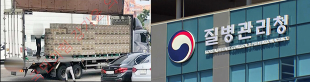 '종이박스 백신' 사라질까…질병청 "관리·감독 강화" 