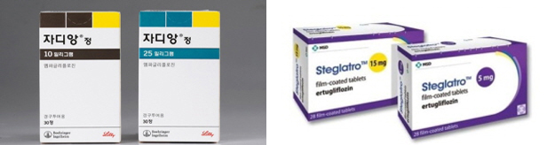 SGLT-2억제제의 진화, '심부전 적응증' 행보 눈길