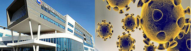 원료의약품 불순물 가능성 평가 내년 5월까지 연장