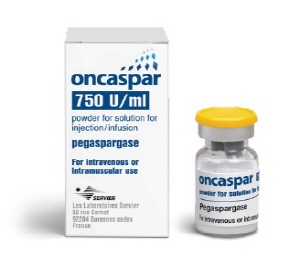 급성림프구성백혈병 신약 '온카스파' 국내 허가