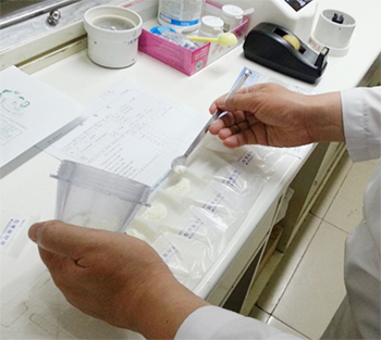 美 '컴파운딩약국'서 배우는 연하곤란자 약물관리