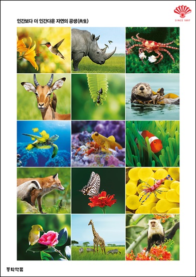 동화, 공생 광고, '국민이 선택한 좋은 광고상' 수상