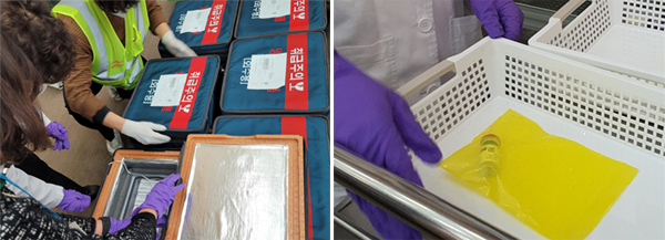 "코로나 백신 접종센터 약사 지원자가 몰린다"