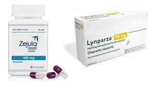 PARP억제제, 난소암 1차 급여 눈앞…반쪽 건보 행보