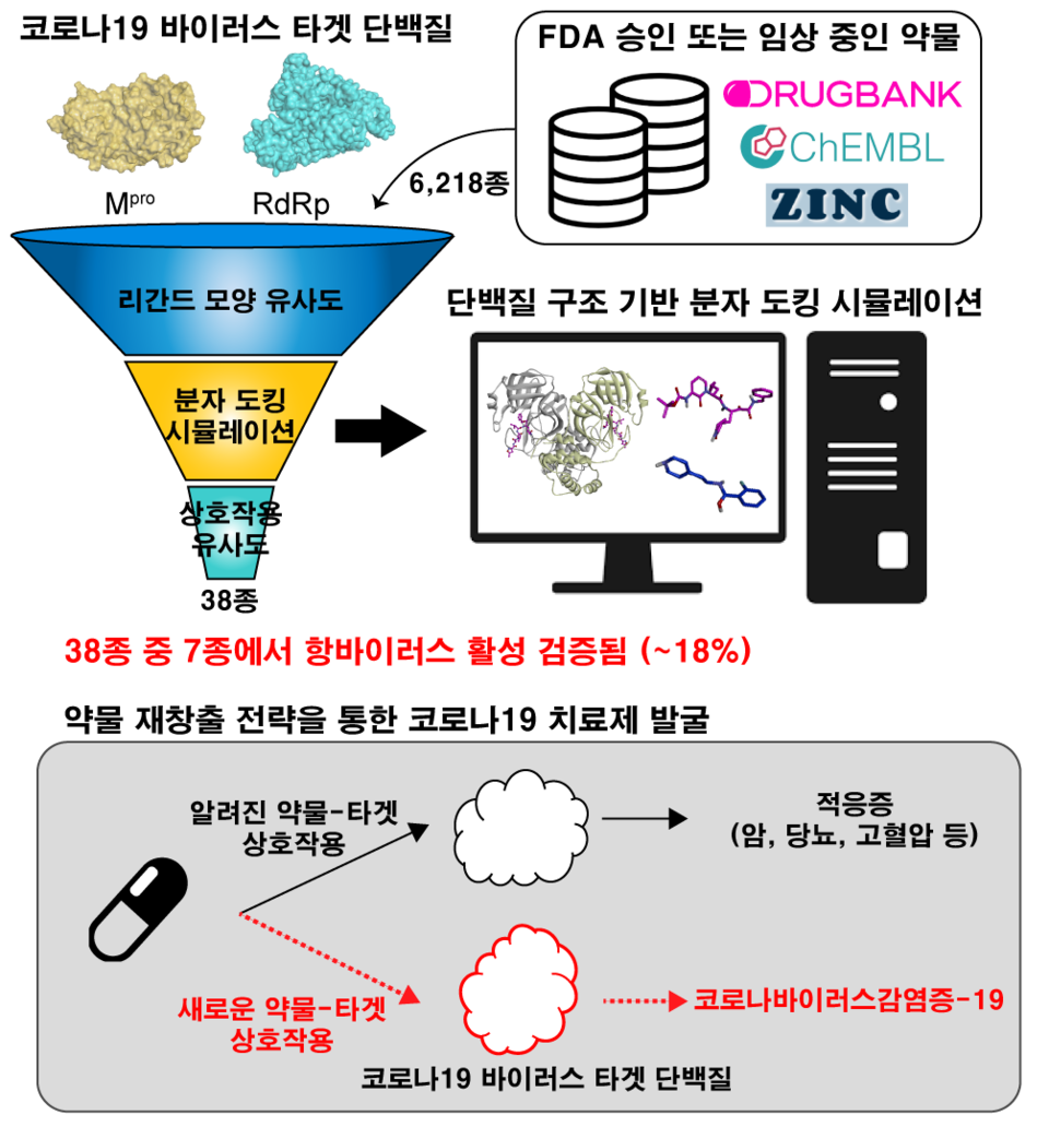 국내연구진, 코로나치료제 발굴..."렘데시비르보다 효과↑"
