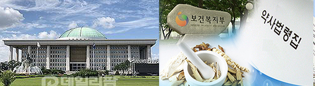 한약사 일반약 판매제한 시동...법 통과땐 형사처벌 가능