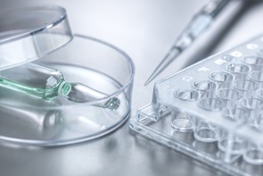 제약 10곳 중 7곳 R&D 투자 확대...새 먹거리 발굴 총력