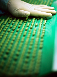 "제조소 이전 경미한 변경 비교용출 대체, 시간·비용 절약"