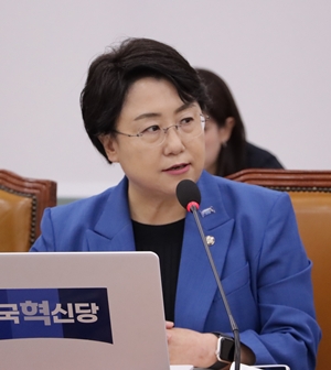 김선민 조국혁신당 의원 국감